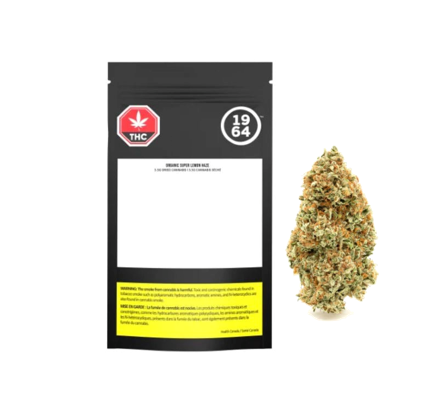 Organic Super Lemon Haze